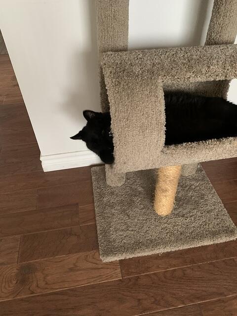 IMG 0007