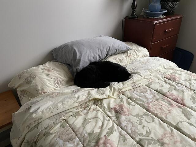 IMG 1301