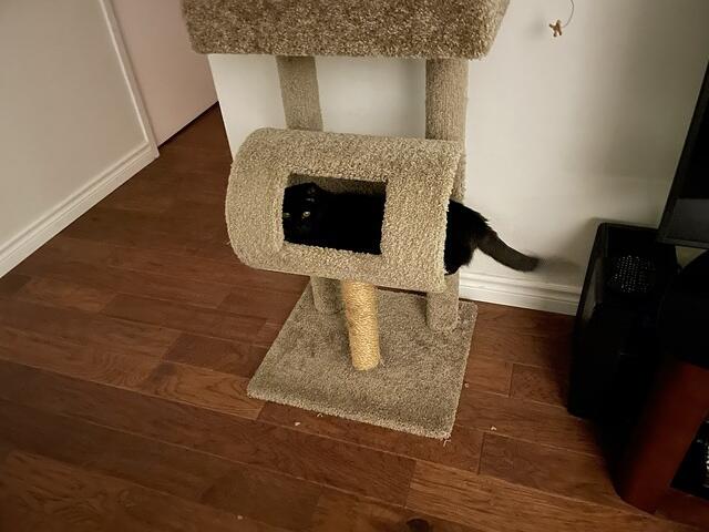 IMG 1306