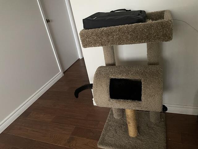 IMG 1307
