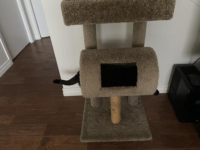 IMG 1308