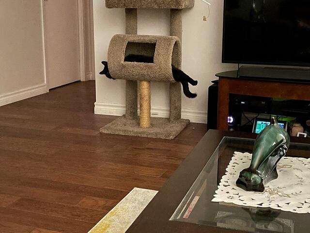 IMG 1369