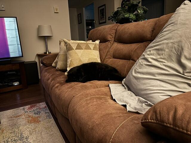 IMG 1838