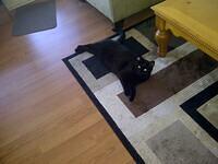 IMG-20120704-00030
