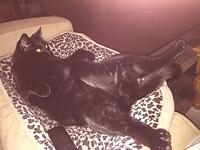 IMG 0009