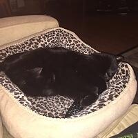 IMG 0038