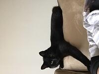 IMG 0254