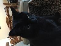 IMG 0255