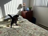 IMG 0920