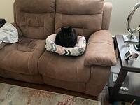 IMG 1298