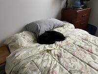 IMG 1301