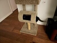 IMG 1306