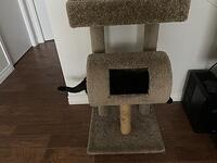 IMG 1308