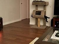 IMG 1368
