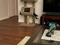 IMG 1369