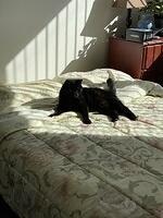 IMG 1464