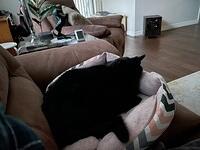 IMG 1498