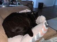 IMG 1500