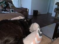 IMG 1501