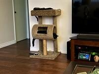 IMG 1835