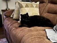 IMG 1840