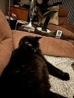 IMG 1903