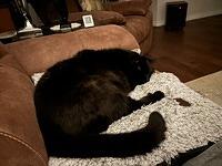 IMG 1970