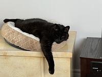 IMG 2306