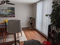 PXL 20210219 173718065
